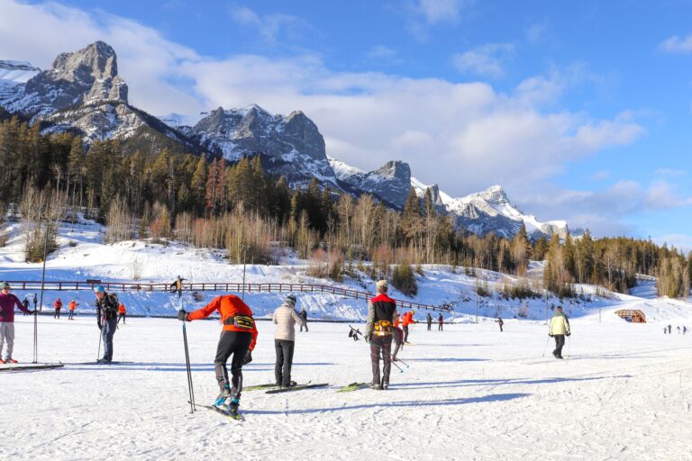 Cross-Country Skiing - Featured image