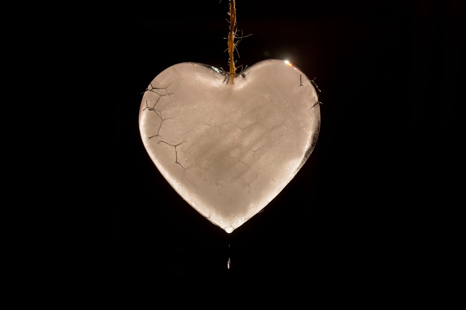Does Cold Water Affect Heart Rate? - Featured image