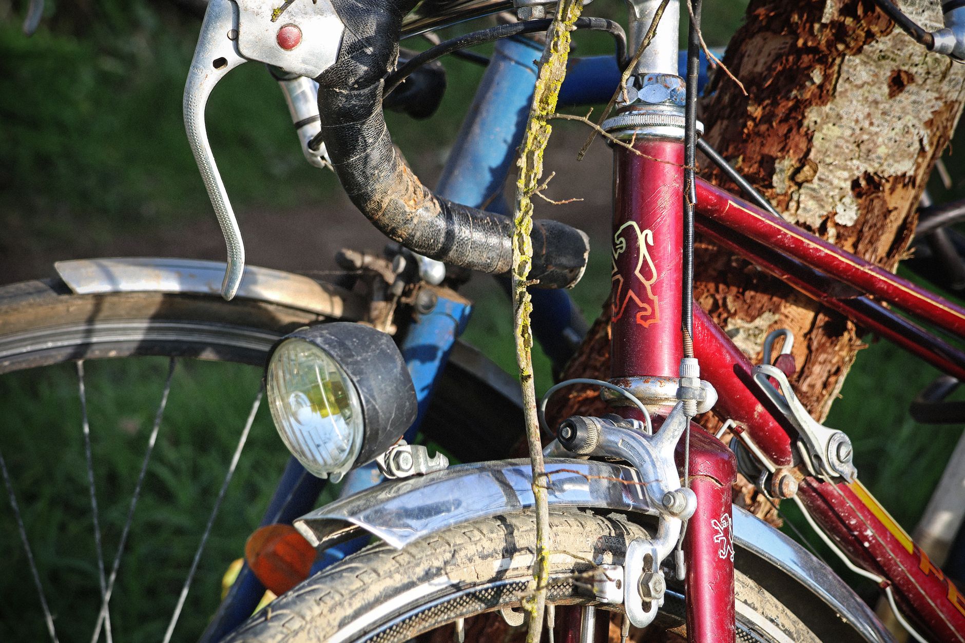 How Do E-Bikes Affect Your Heart Rate and Intensity Calculation?