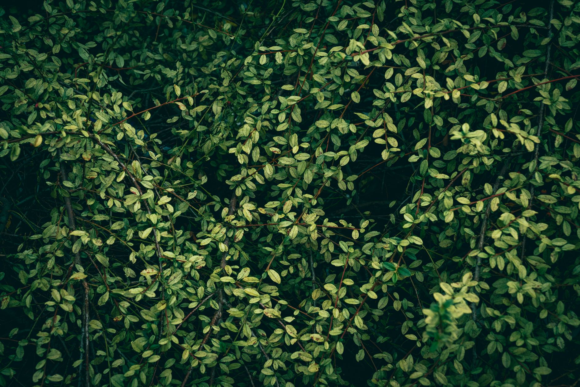 How Do Outdoor Environments Naturally Sustain Motivation to Stay Active?