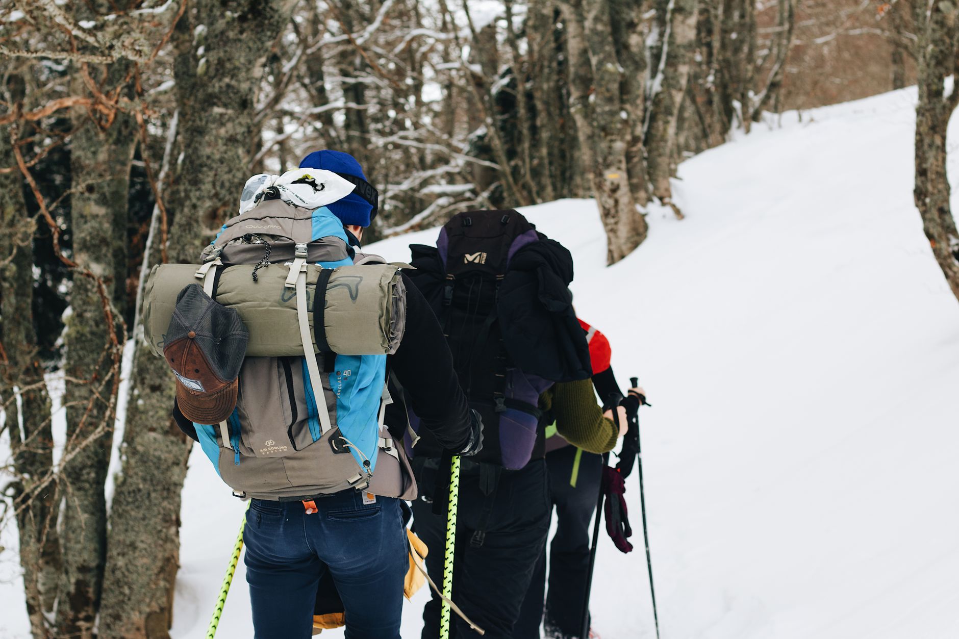 How Do Trekking Poles Change Your Running and Walking Mechanics?