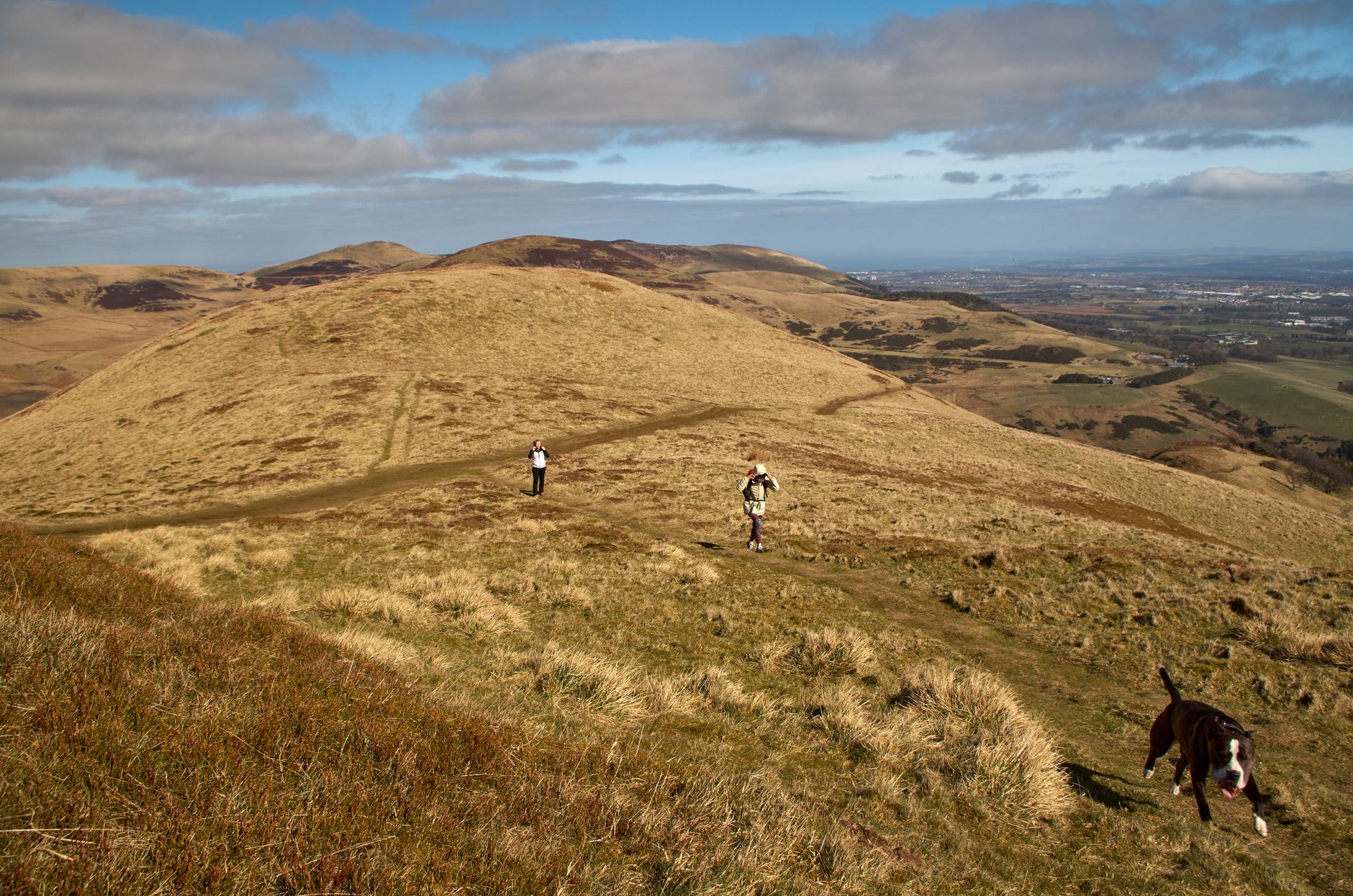 How Does Hill Walking Improve Cardiovascular Fitness?