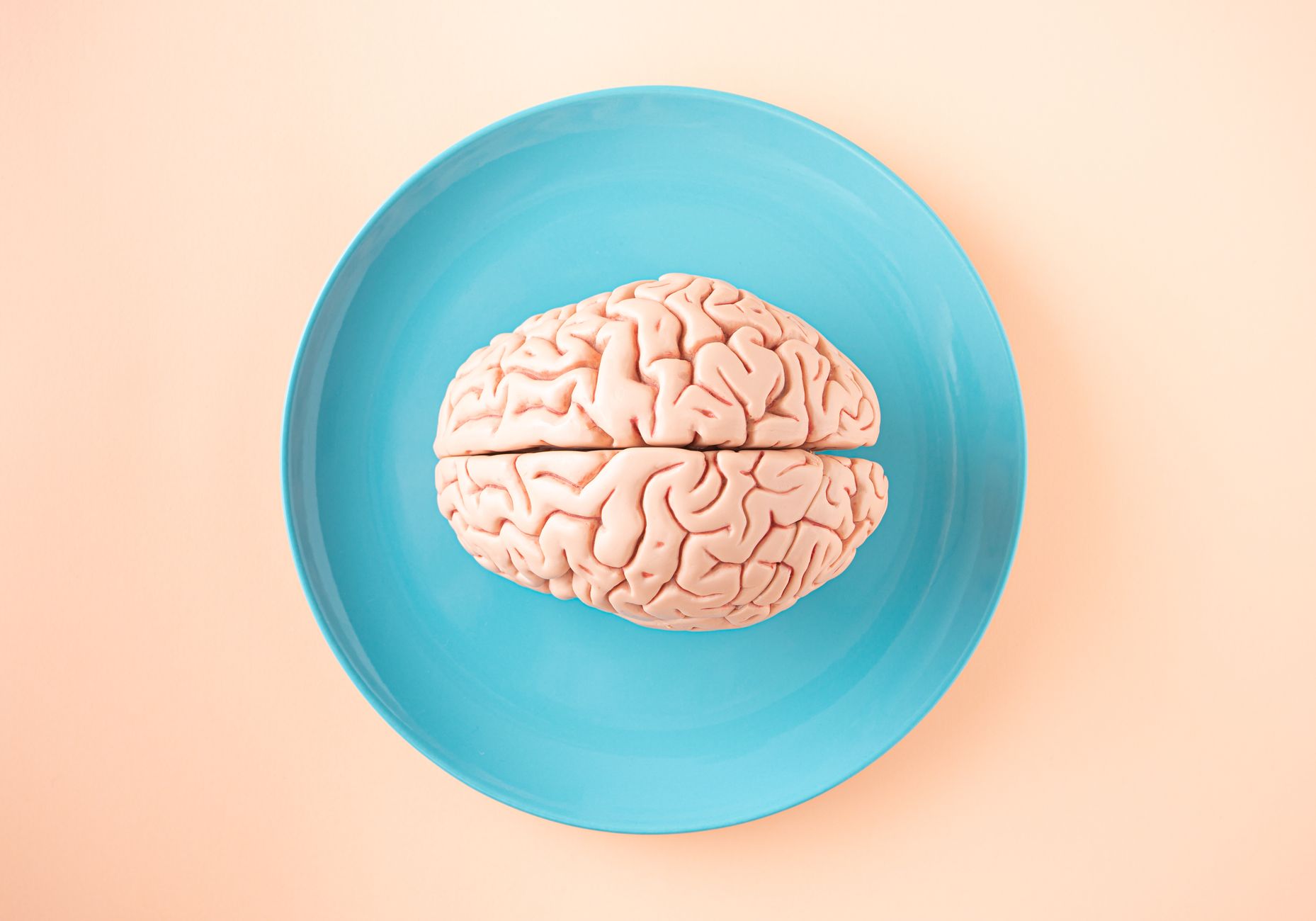 How Movement Shaped Your Brain