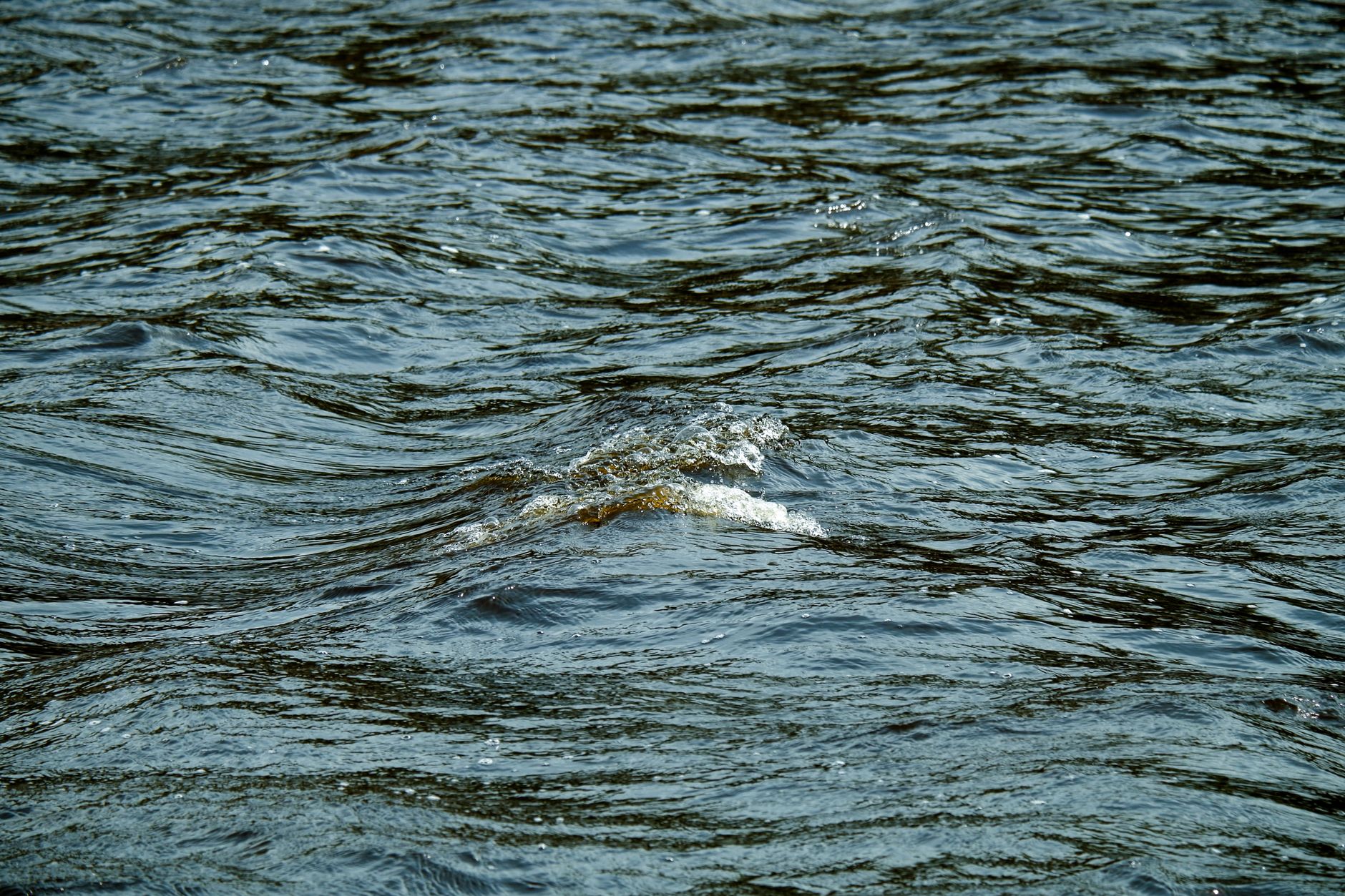 How Water Conditions Change Your Cardiovascular Response