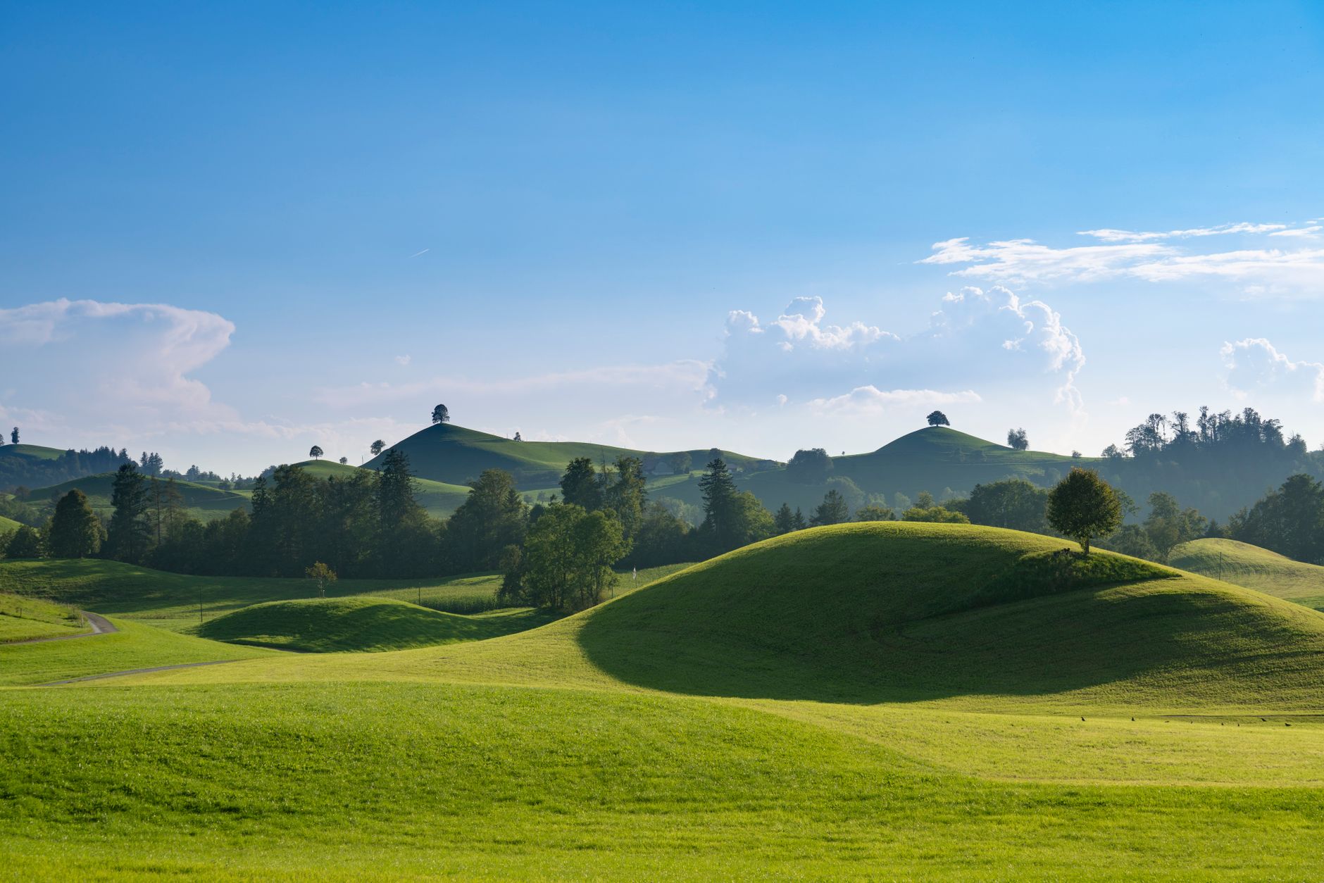 Measuring Intensity Accuracy on Hills Versus Flat Terrain