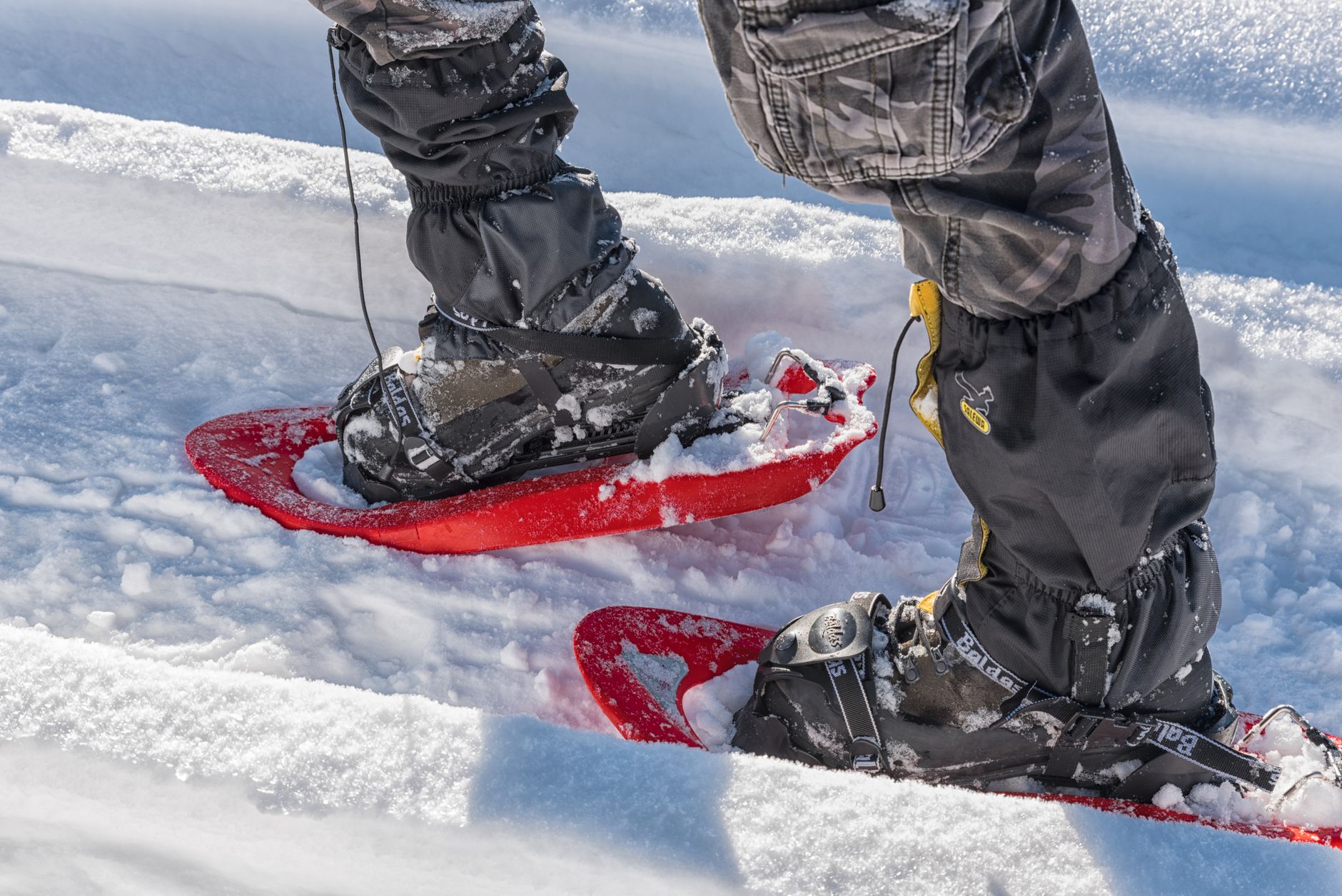 Popular Snowshoe Trails and Destinations for Every Fitness Level