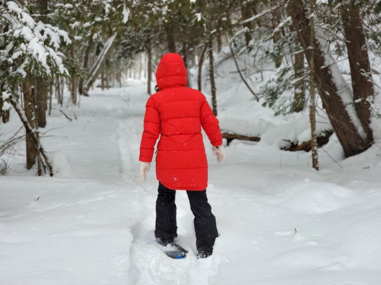Snowshoe Hiking - Featured image