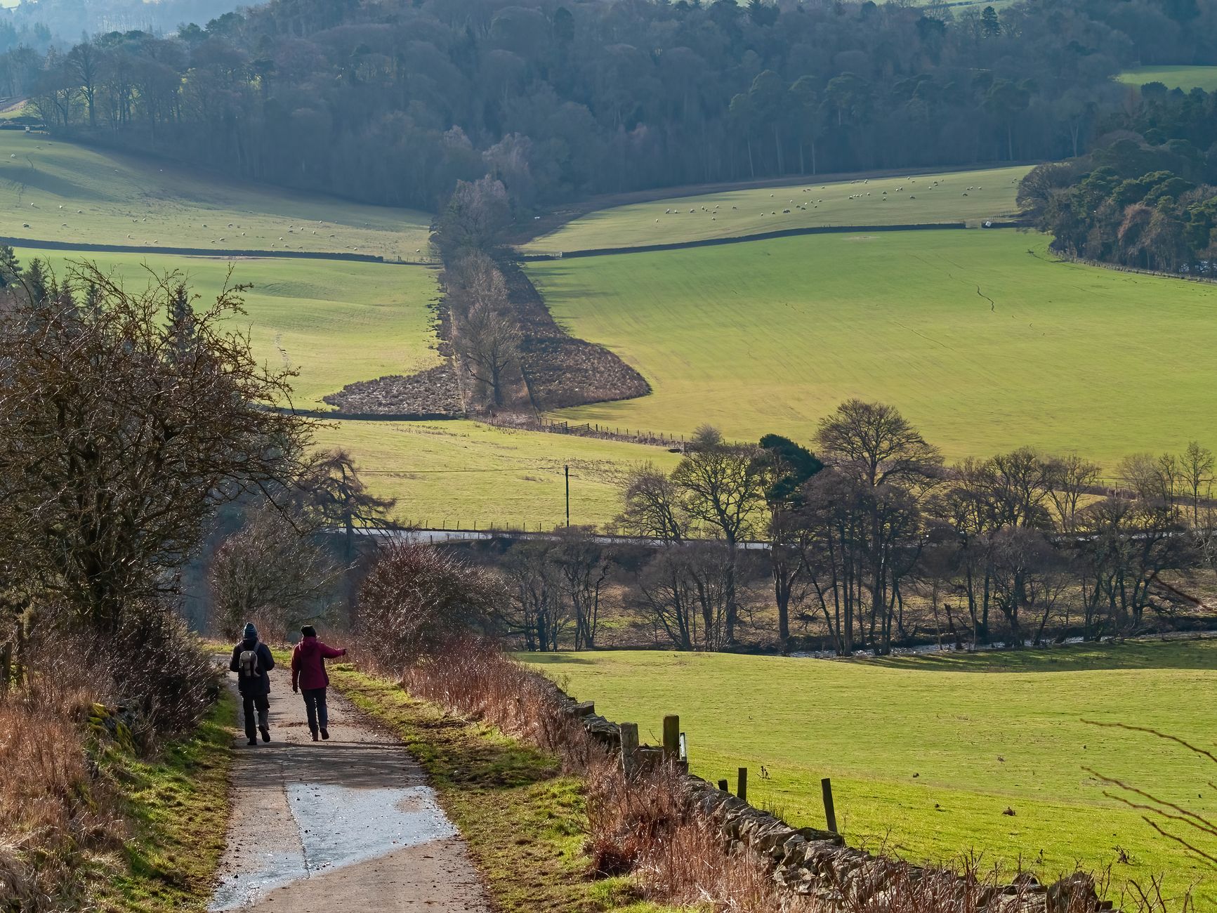 Walking Hills for Better Heart Health - Featured image