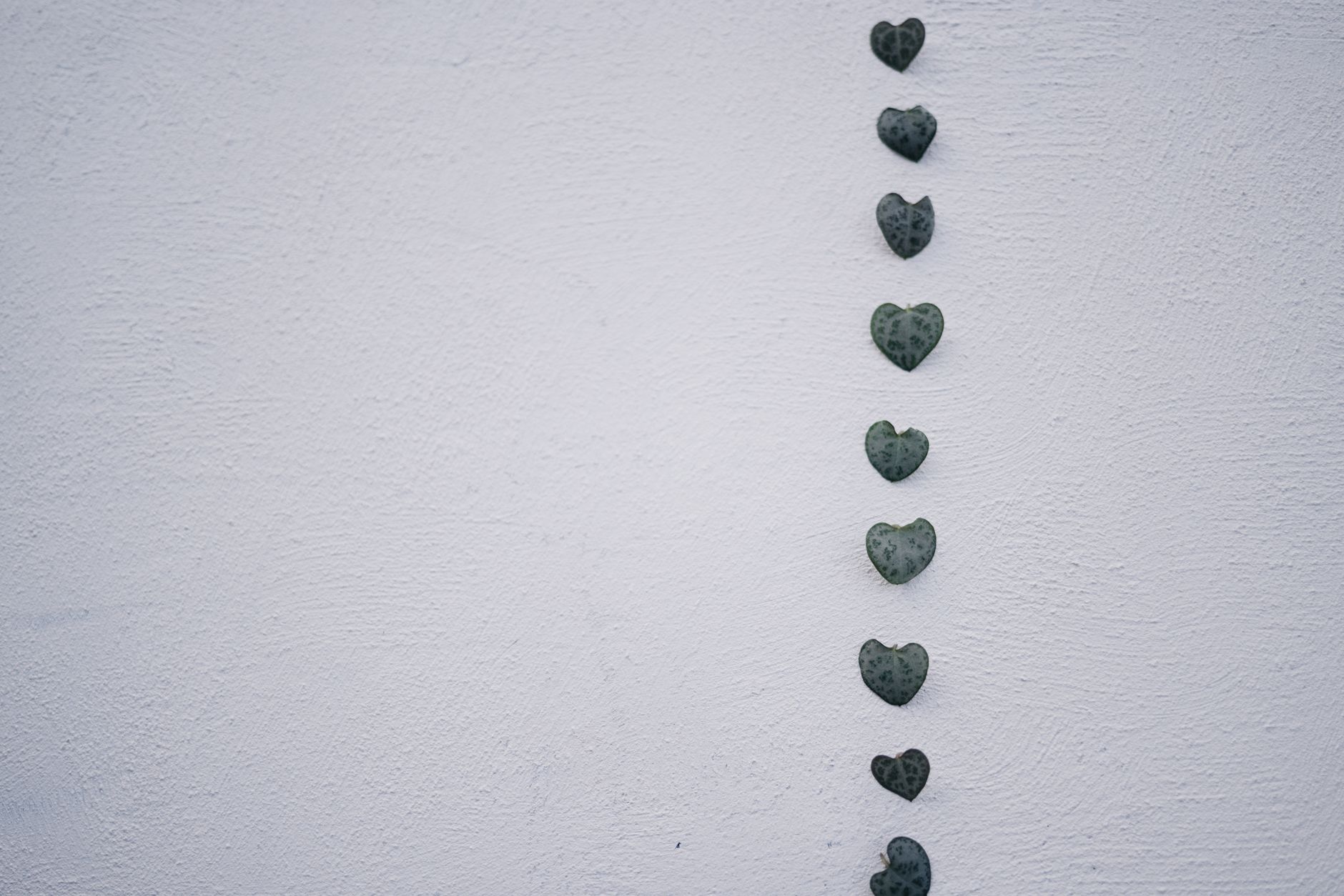 What Are Heart Rate Zones and How Do They Break Down?