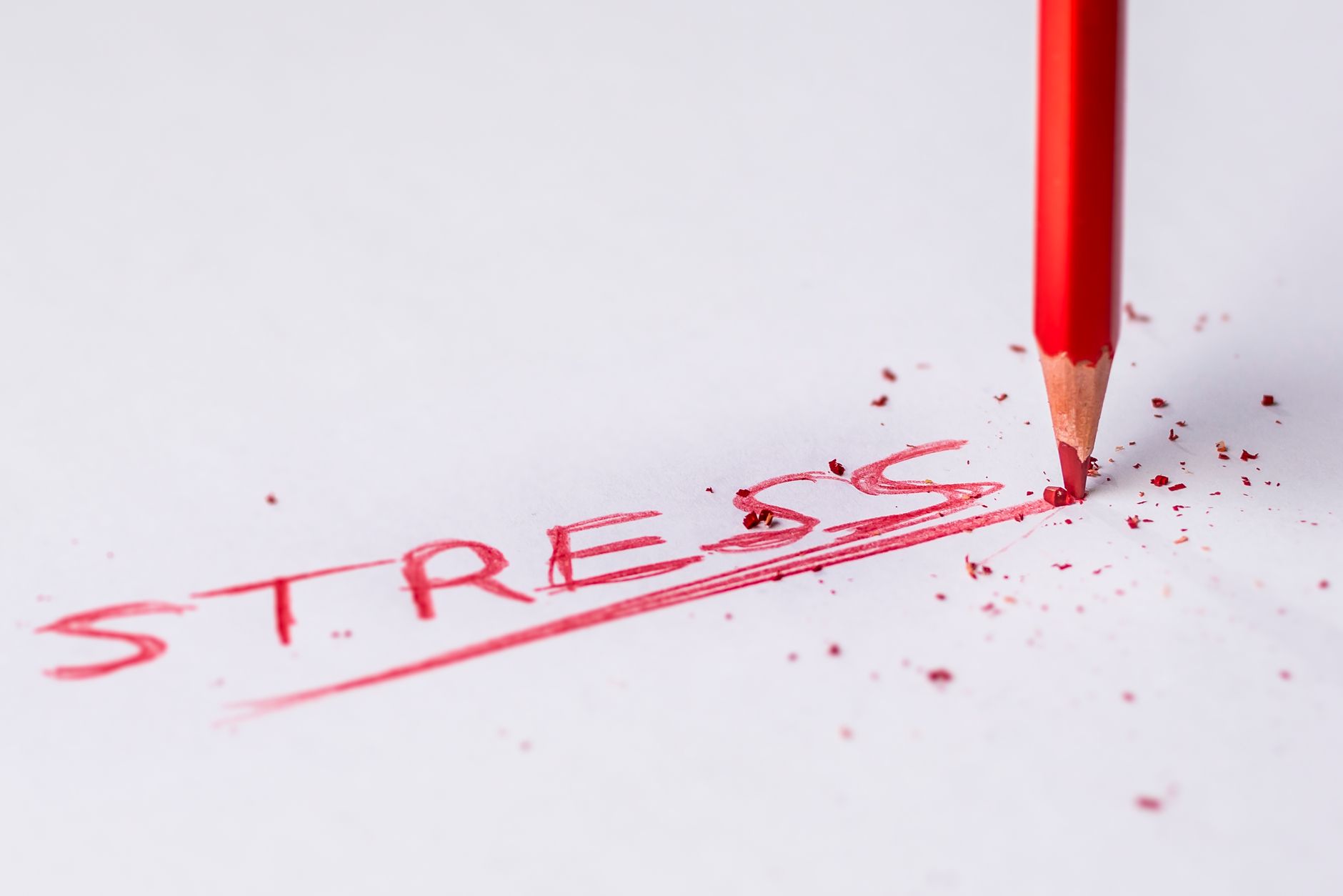 What Does Stress Actually Do to Your Heart Rate and Intensity Capacity?