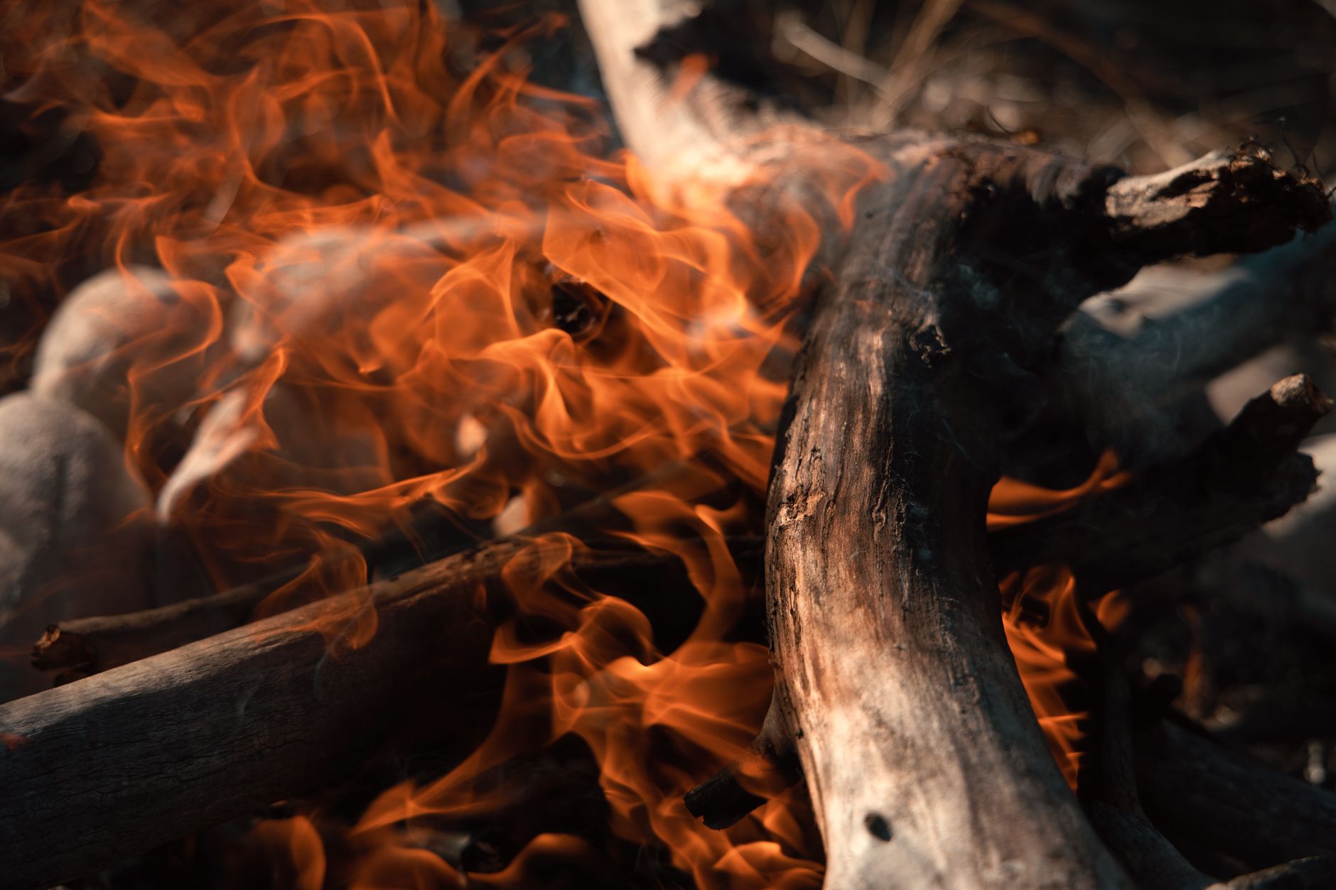 Which Activity Burns More Calories and Improves Fitness Faster?
