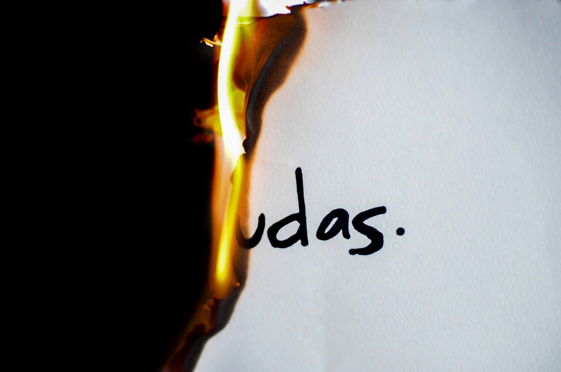 Which Activity Burns More Calories and Works Your Cardiovascular System?