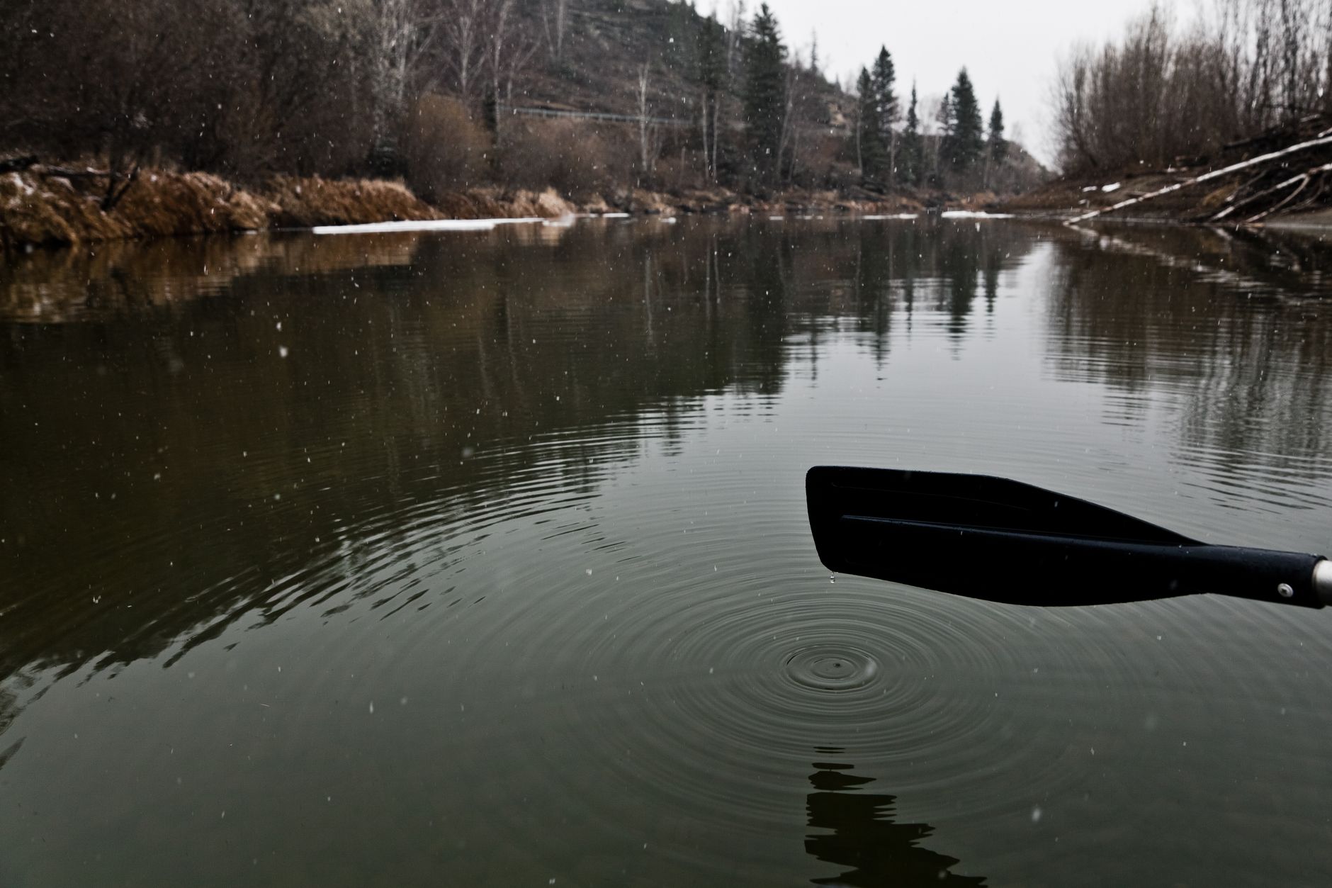 Why Are Rowing Intervals Effective for Building Beginner Fitness?