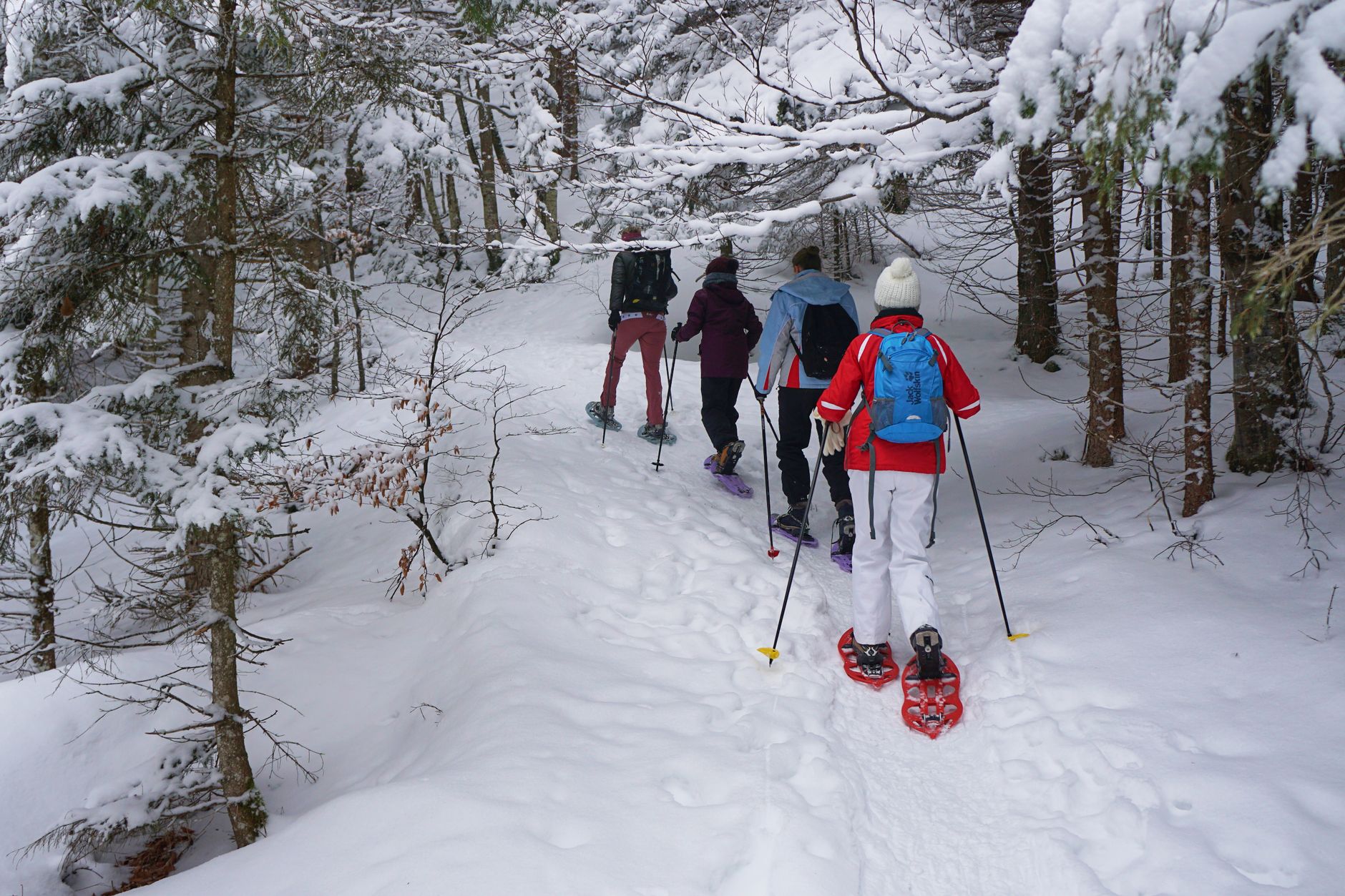 Why Does Snowshoe Hiking Burn More Calories Than Running?