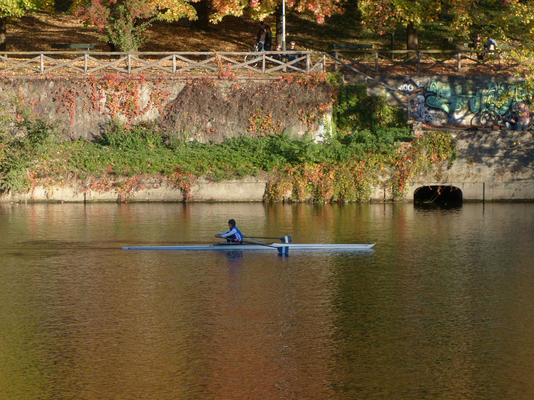 Why Is Rowing Particularly Beneficial for Aging Bodies?