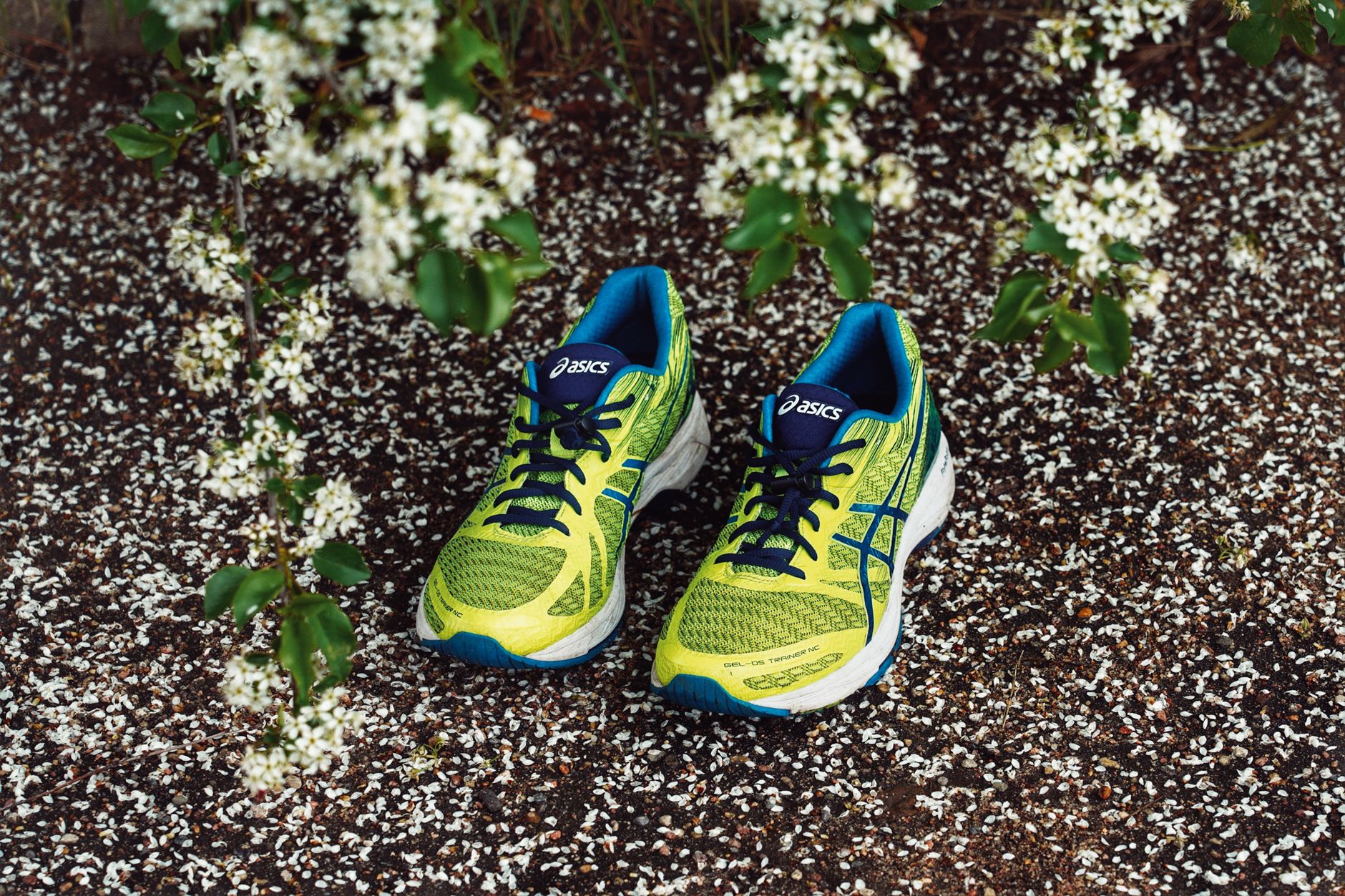 ASICS Launches Turkey Operations During Peak Growth in Jogging Activity - Featured image