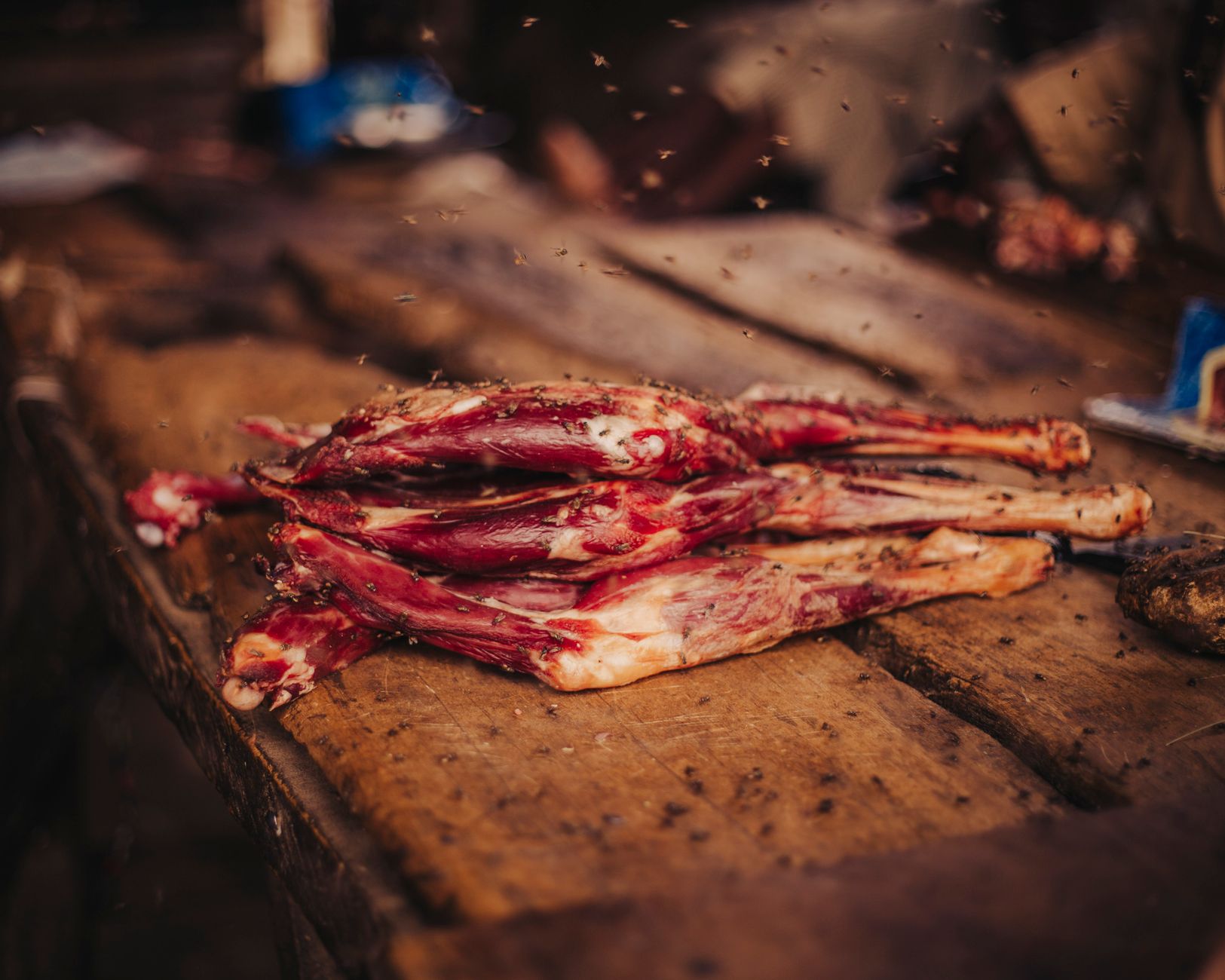 Carnivore Diet Running Explained: Pace, Effort, and Purpose - Featured image
